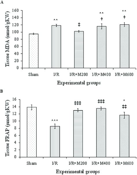 A Lipid Peroxidation Level Mda And B Total Antioxidant Capacity