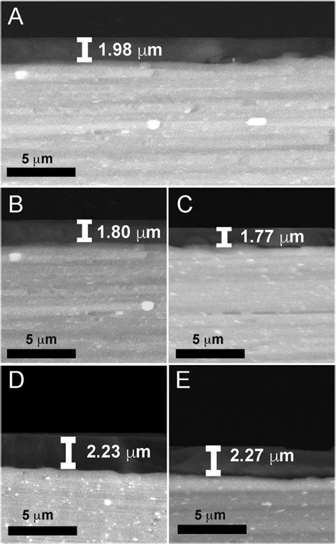 Scanning electron micrographs showing cross-sections of the coated ...