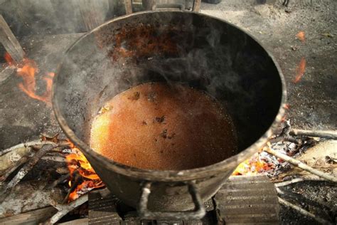 Ayahuasca Ceremony - How To Prepare And What To Expect