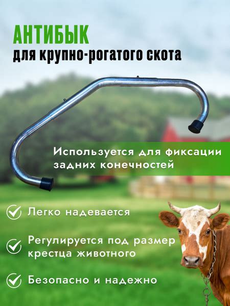 АНТИБРЫК оцинкованный для коров крупного рогатого скота КРС - купить с ...