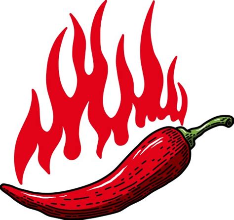Hot Chilli Pepper In Energy Fire Royalty Free Vector Image
