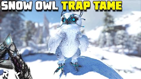 How To Tame A Snow Owl In Ark