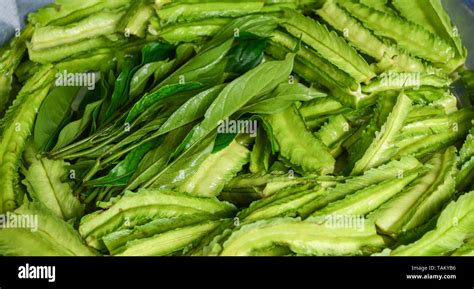 Fresh Green Winged Bean Vegetable Background Other Names Goa Bean