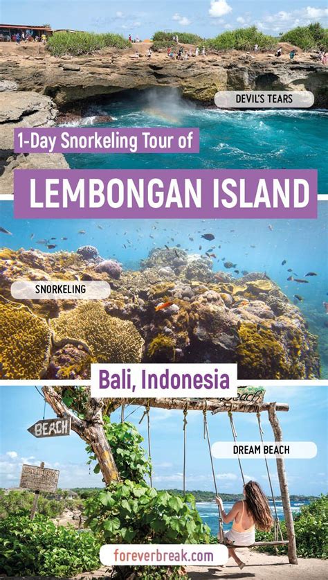 Lembongan island snorkeling tour bali indonesia – Artofit