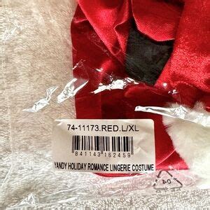 Yandy Intimates Sleepwear Yandy Holiday Romance Sexy Santa Lingerie Costume New Nip Poshmark
