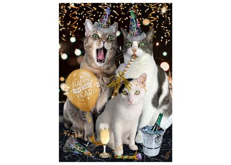 New Year Cat Photo Card Happy New Year Etsy