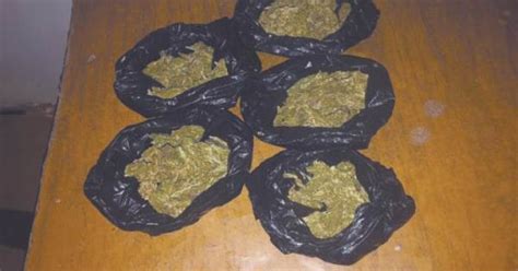 Incautan más de un kilo de mariguana en Xilitla