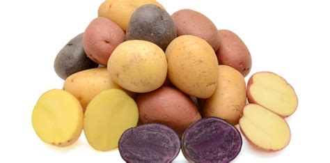 Variétés De Pommes De Terre Types Races Espèces Noms Lanutritionfr