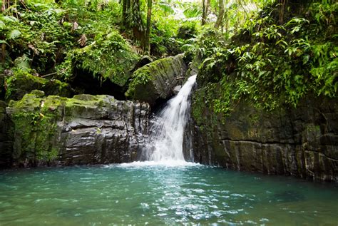 El Yunque Rainforest Tour Puerto Rico Best Tour Reservations