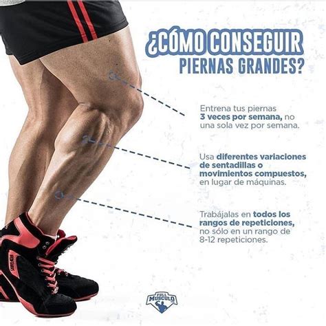 Como Aumentar Masa Muscular En Piernas Y Gl Teos Entrena Piernas