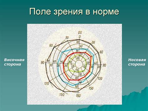 Основные функции зрения - презентация онлайн