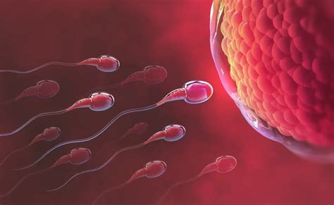 Male Infertility Causes Diagnosis And Treatment Options Health