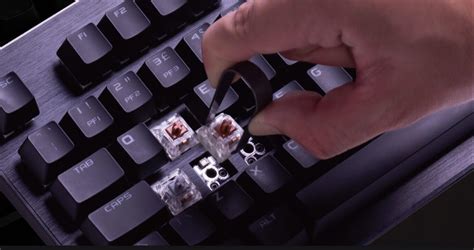 Evga Z Rgb Gaming Keyboard Rgb Backlit Led Hot Swappable Mechanical Switches T N Doanh