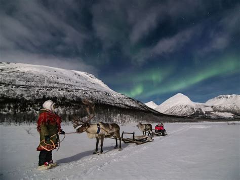 Northern Lights Tours in Tromso | Norwegian Travel