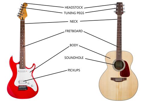 The Anatomy of a Guitar: Understanding the Different Parts