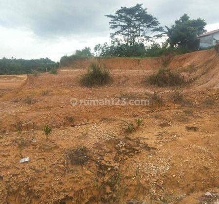 Jual Tanah Di Riau Harga Dibawah 100 Juta