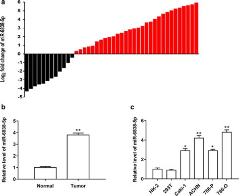 The Relative Level Of MiR 6838 5p Was Upregulated In Human RCC Tissues