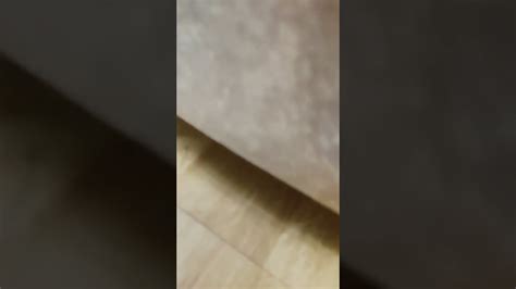 хелп - YouTube