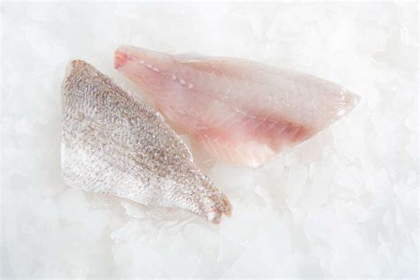 Buy Snapper Fillet Fish Delivery Manettas Seafood Market