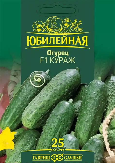 Семена Огурец Кураж Юбилейный - купить по выгодной цене | Урожайка