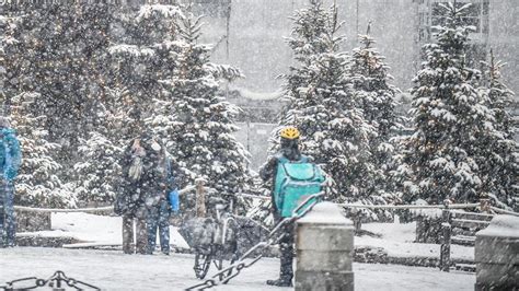 Neve In Arrivo Al Nord Ecco Le Zone Di Pianura Coinvolte E Per L