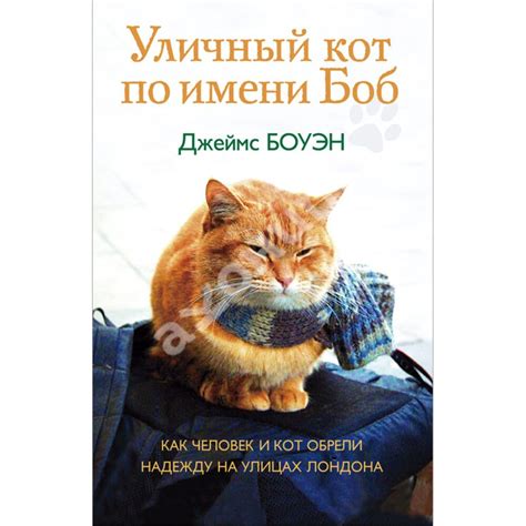 Купити книгу Уличный кот по имени Боб - Джеймс Боуэн (978-5-386-06094-7 ...