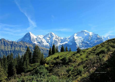 Eiger M Nch Und Jungfrau Einzigartig Und Beeindruckend