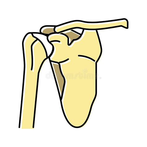 Shoulder Bone Color Icon Vector Illustration Stock Vector
