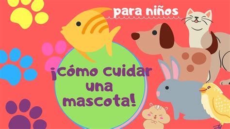 Cómo cuidar una mascota Las mascotas para niños YouTube