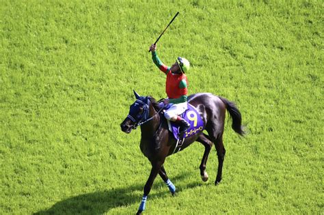 競馬専門紙「優馬」 On Twitter 東京11r ～優駿牝馬 オークス～ 優勝馬 ユーバーレーベン ミルコ・デムーロ騎手 手塚貴久