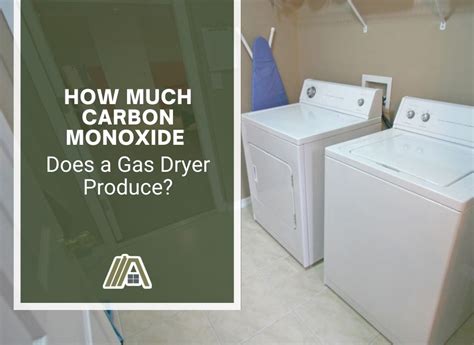 How Much Carbon Monoxide Does A Gas Dryer Produce The Tibble