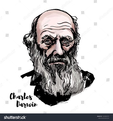 118 Charles Darwin Theory Of Human Evolution Images, Stock Photos