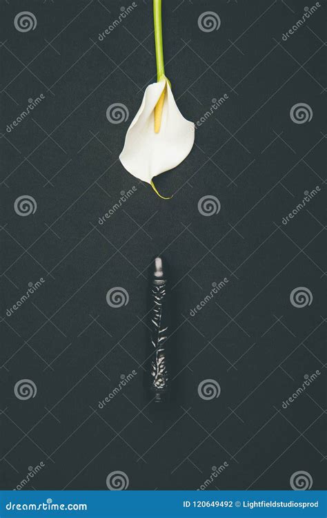 Dildo Nero Con Il Fiore Bianco Della Calla Fotografia Stock Immagine Di Feticcio Provocatorio