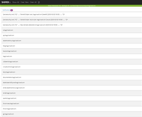 Attack Surface Management With Sn1per Professional - Attack Surface ...
