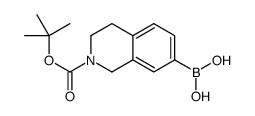 Cido Metilpropan Il Oxicarbonil Dihidro H