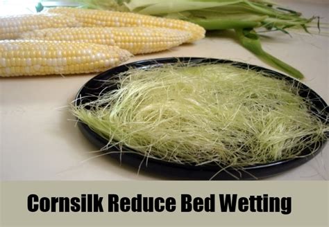 Top 5 Herbal Remedies For Bed Wetting Best Herbs For Bed Wetting