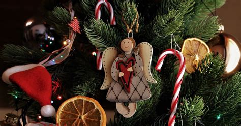 cand se impobobeste de fapt bradul de craciun  wowbiz