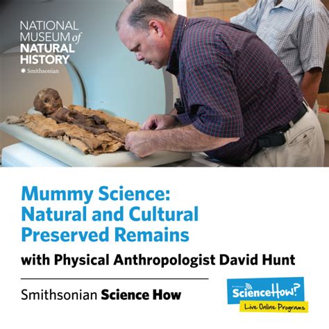 Collections Mummy Science Natural And Cultural Preserved Remains