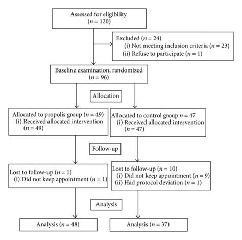 Clinical Trials Phases Flow Chart Keski