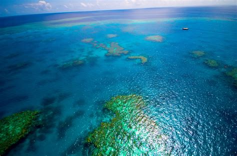 great-barrier-reef-cairns - Cairns Cruise