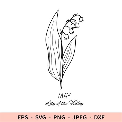 May Birthday Flower
