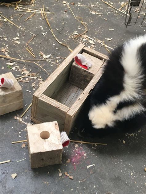 Block Puzzle Feeder