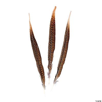 Pheasant Feathers - Oriental Trading - Discontinued