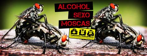 Polisemia Subversiva Fuck The Police