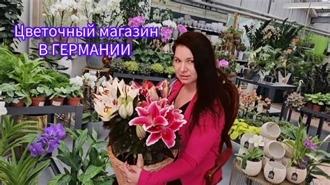 КОМНАТНЫЕ РАСТЕНИЯ/ОГРОМНЫЙ ОБЗОР В ЦВЕТОЧНОМ МАГАЗИНЕ В ГЕРМАНИИ/ # ...