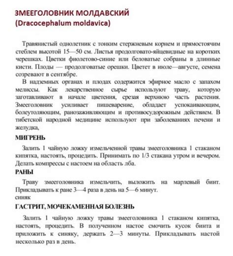 Змееголовник молдавский | Медицина, Рецепты, Лекарственные растения