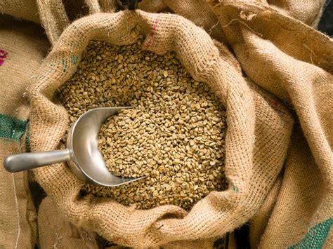 O Que São Commodities Agrícolas e Quais Seus Fundamentos