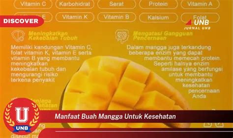 Intip 6 Manfaat Buah Mangga Untuk Kesehatan Yang Bikin Kamu Penasaran