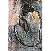 Amazon Blue Nude C 1902 Poster By Pablo Picasso 24 X 36in Nude