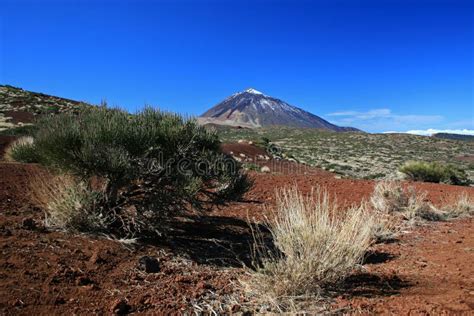 Mount Teide stock photo. Image of peak, islands, unesco - 97886208